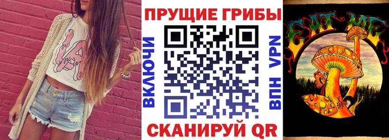 Псилоцибиновые грибы прущие грибы  ссылка на мегу ONION  Нолинск 