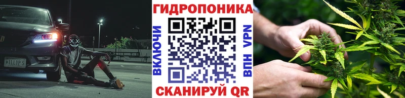 МАРИХУАНА VHQ Нолинск
